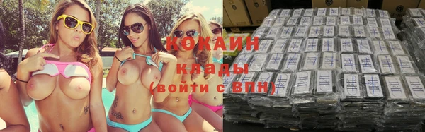 твердый Абаза
