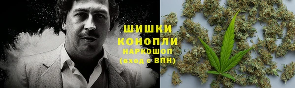 ПСИЛОЦИБИНОВЫЕ ГРИБЫ Абинск